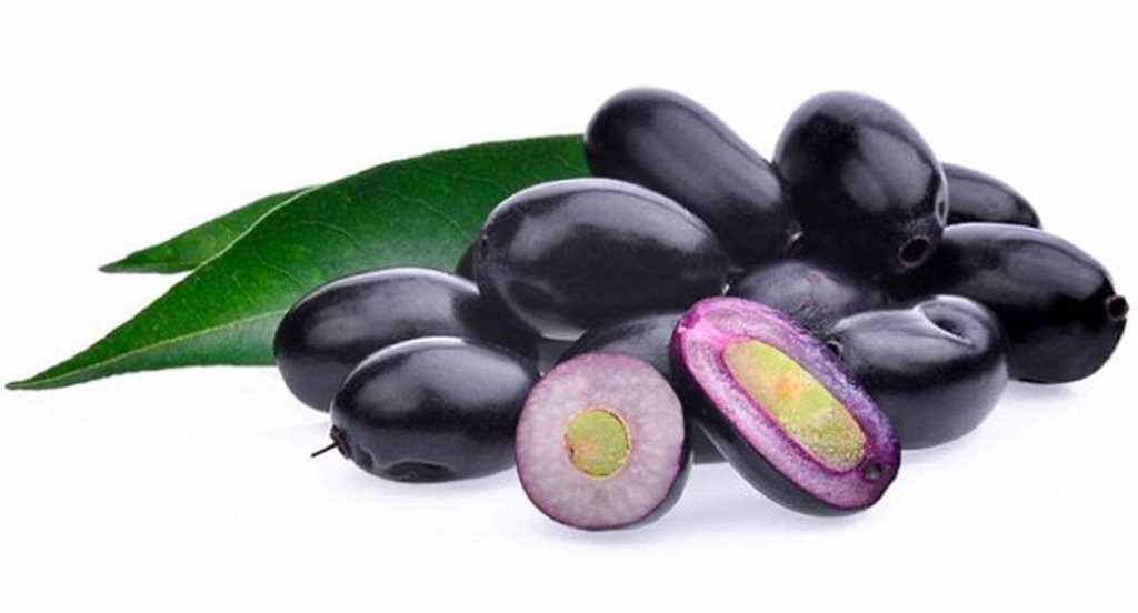 Pure Jamun Tablets-120 Tablets control blood glucose,treating burning,sensation,diarrhoea,flatulence,indigestion,fatigue,throat pain,infection,asthma,breathing difficulty,dysentery.
