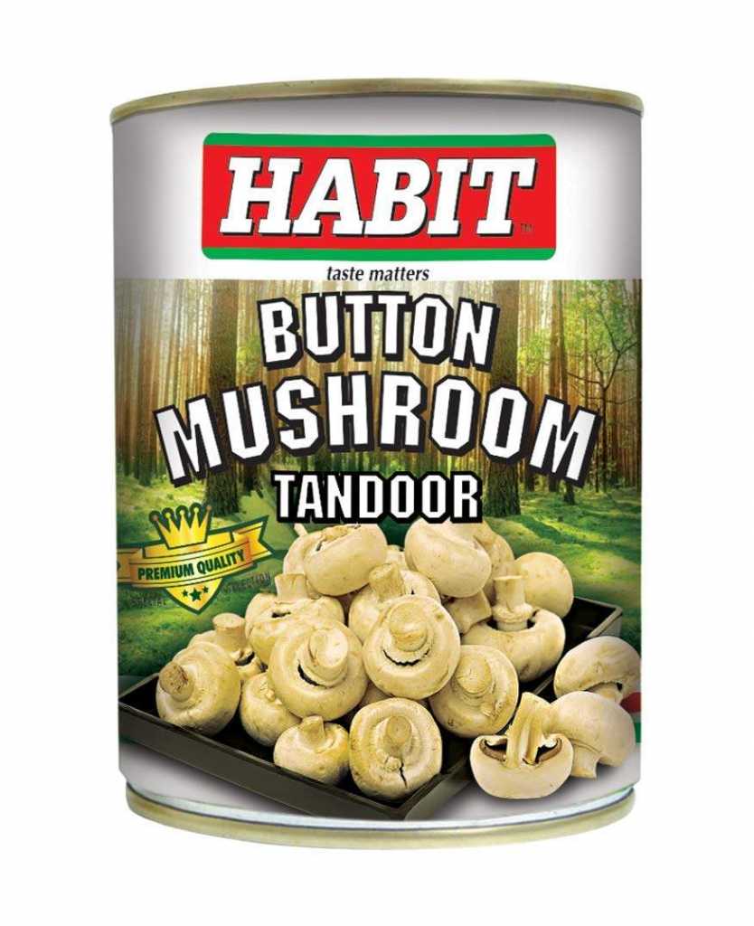  ELLIS HARVEY Habit Button Mushroom Tandoor by ELLIS HARVEY