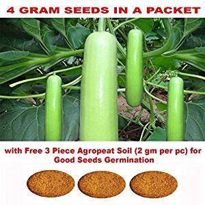 Bottle Gourd F1 Hybrid Vegetable Seeds with Free 3 Piece Agropeat Soil for Good Seeds Germination by Kraft Seeds 