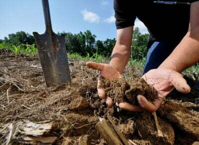 soil restoration