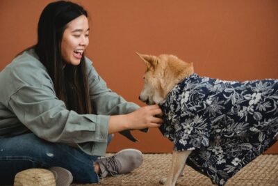 Ethnic woman putting clothes on dog