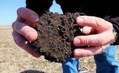 The Myth of Peat Moss debunked. 1646817025 400x247 - The Myth of Peat Moss, debunked.