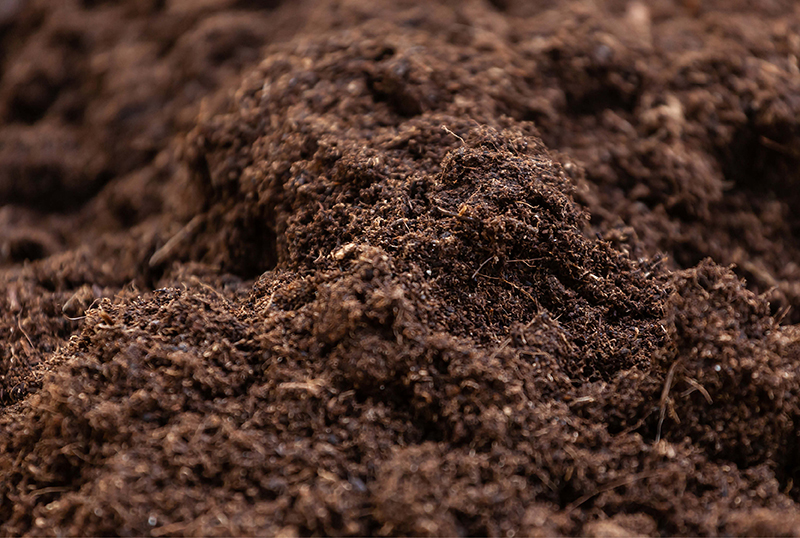 The Myth of Peat Moss debunked. 1646817025 - The Myth of Peat Moss, debunked.