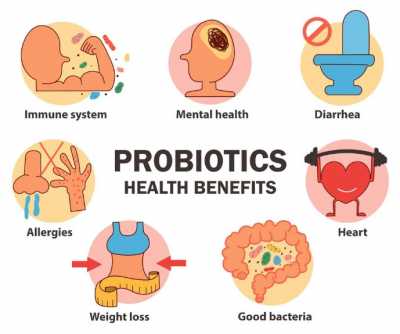 What Are the Signs You need Probiotics 1650280703 400x334 - What Are the Signs You need Probiotics?