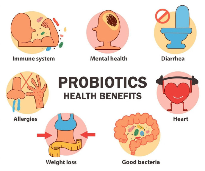 What Are the Signs You need Probiotics 1650280703 - What Are the Signs You need Probiotics?