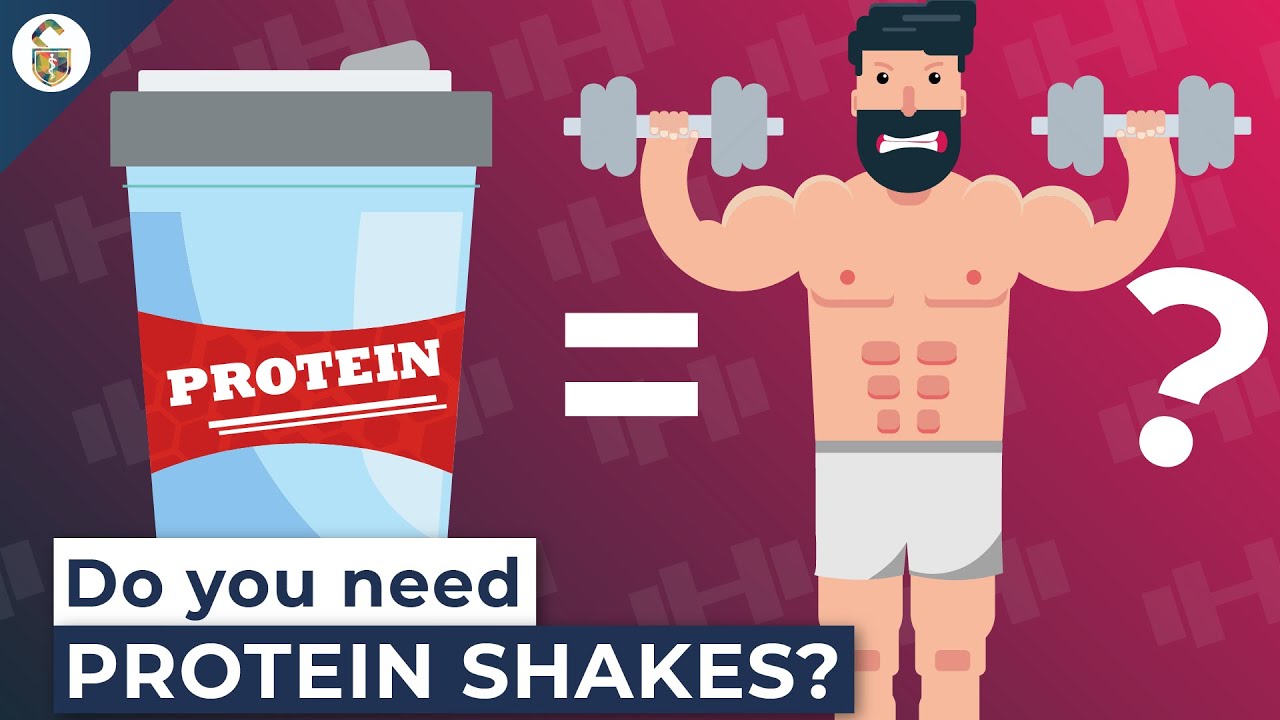 How Does Protein Powder Work 73345 1 - How Does Protein Powder Work?