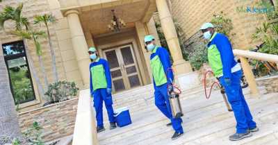 IMG 6702 400x209 - THE DO'S AND DON'TS OF PEST CONTROL IN DUBAI