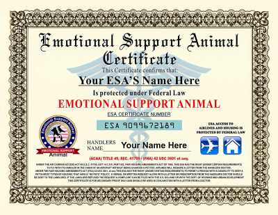 The Ins and Outs of Emotional Support Animal Certification 73658 1 400x309 - The Ins and Outs of Emotional Support Animal Certification