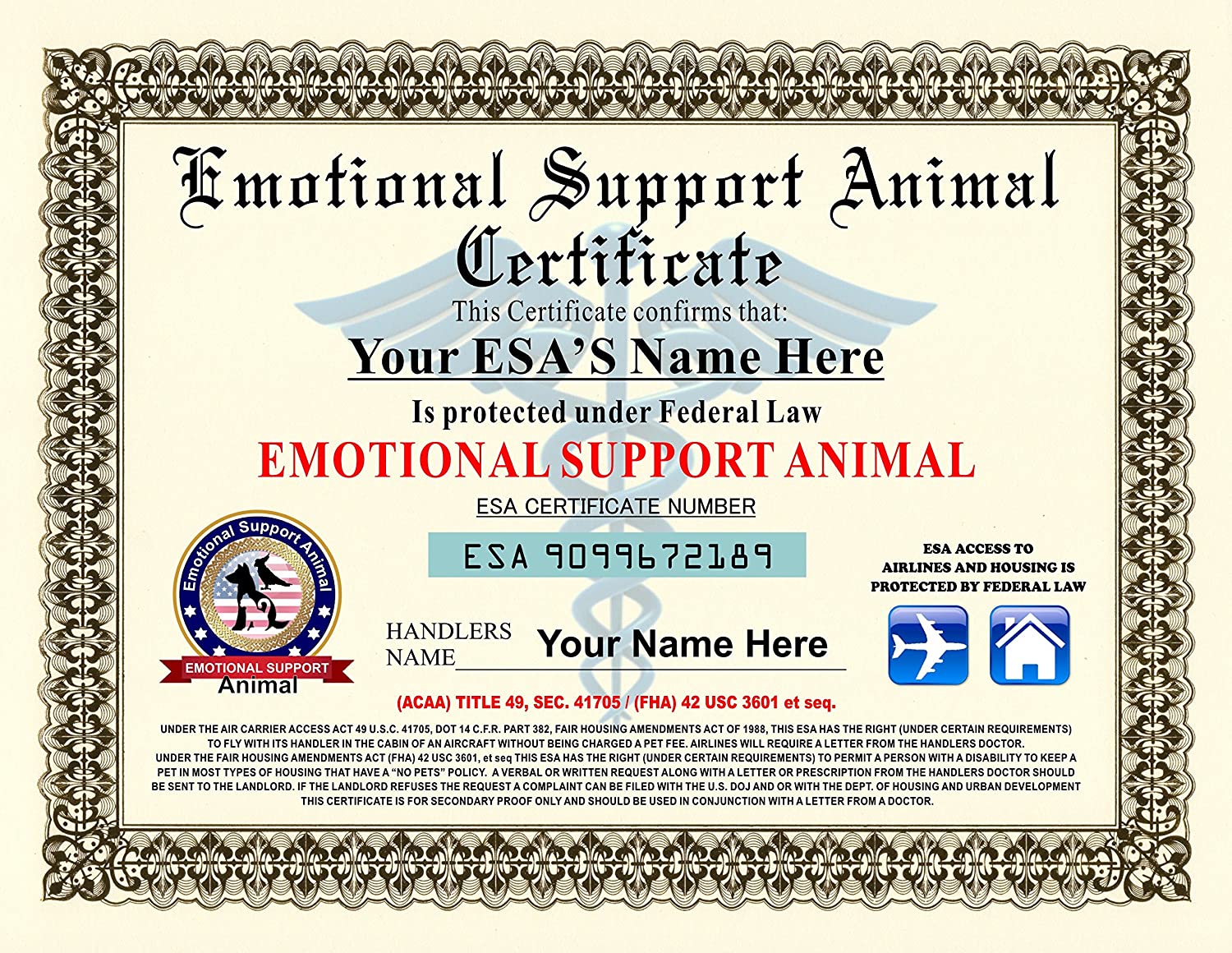 The Ins and Outs of Emotional Support Animal Certification 73658 1 - The Ins and Outs of Emotional Support Animal Certification