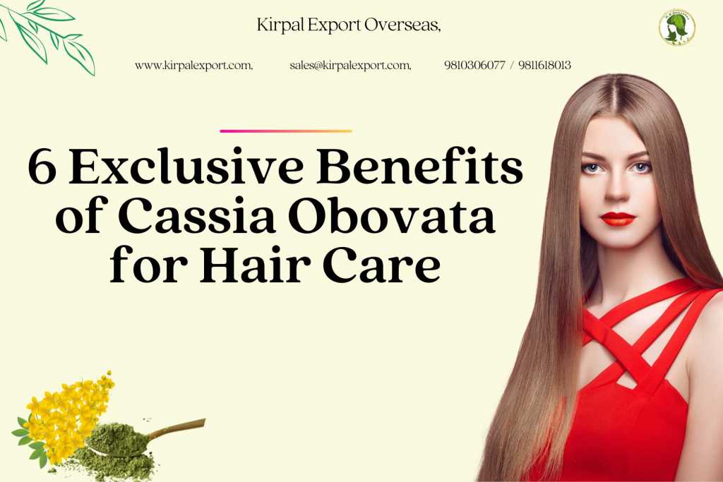 6 Exclusive Benefits of Cassia Obovata for Hair Care scaled - Exclusive Benefits of Cassia Obovata for Hair Care
