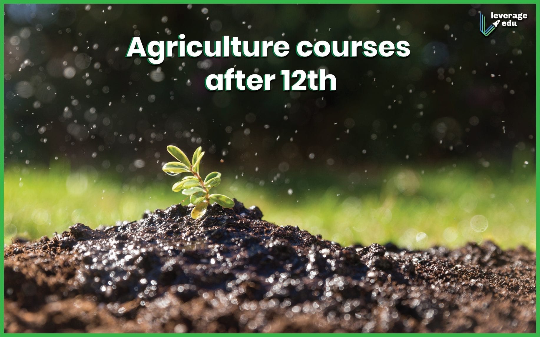 Best Agriculture Courses for a Science Student After 12th 76271 1 - Best Agriculture Courses for a Science Student After 12th